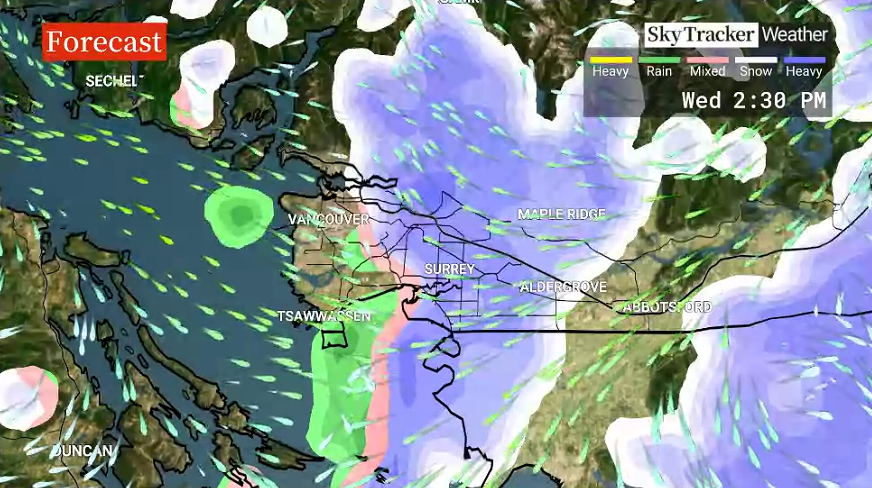 The forecast for the Lower Mainland for 2:30 p.m. Wednesday.