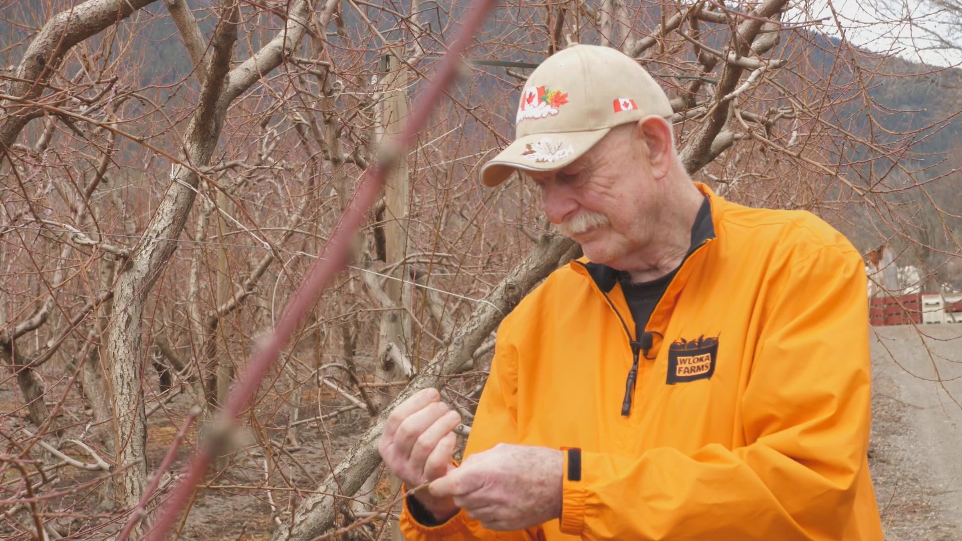 Един от най важните моменти на лятото в Британска Колумбия вероятно
