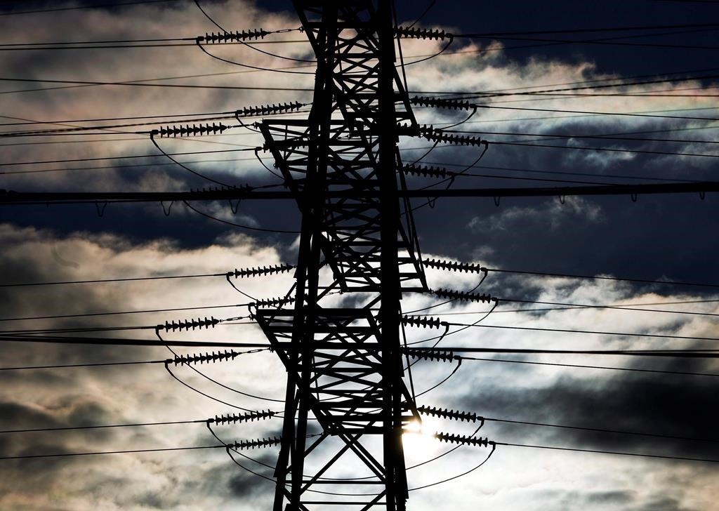 Hydro poles stand in the City of Toronto's west end on Friday, January 16, 2009. A masked mammal appears to have been the culprit after a swath of downtown Toronto had its power knocked out. THE CANADIAN PRESS/Nathan Denette.