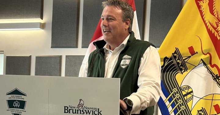 N.B. minister quits cabinet, another says he won’t run in next ...