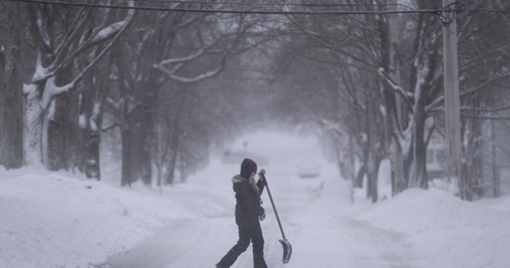 Снежна буря нанася до 80 см на Н.С., части от П.Е.И. тъй като услугите спират