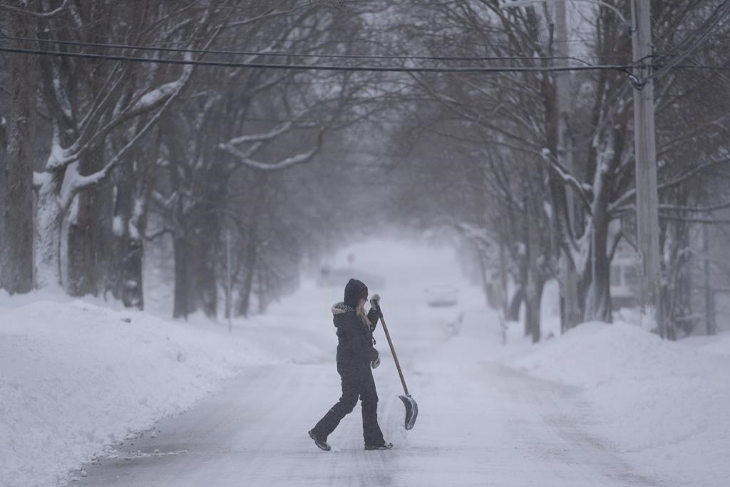 Snowstorm dumps up to 80 cm on N.S., parts of P.E.I. as services grind to a halt