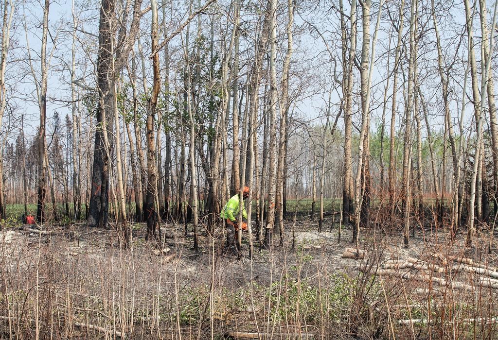 Алберта ще изпрати повече пожарникари повече доброволци и повече високотехнологично оборудване