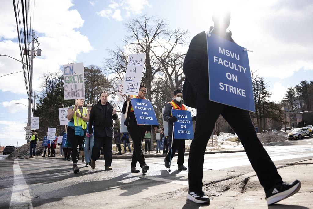 Стачкуващите преподаватели библиотекари и лабораторни инструктори в университета Маунт Сейнт