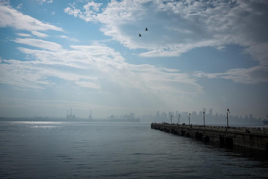 Главният здравен служител на Vancouver Coastal Health казва че всяка