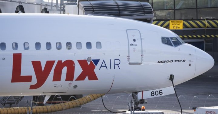 Преди затварянето си тази седмица Lynx Air се надяваше да