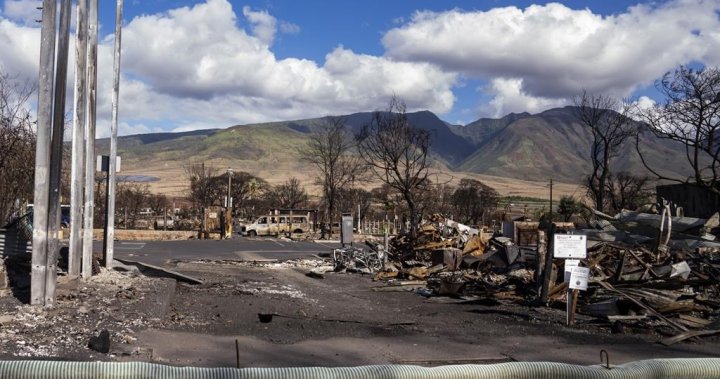 Семействата на жертви на горски пожари в Мауи скоро могат да кандидатстват за компенсационен фонд от 175 милиона щатски долара