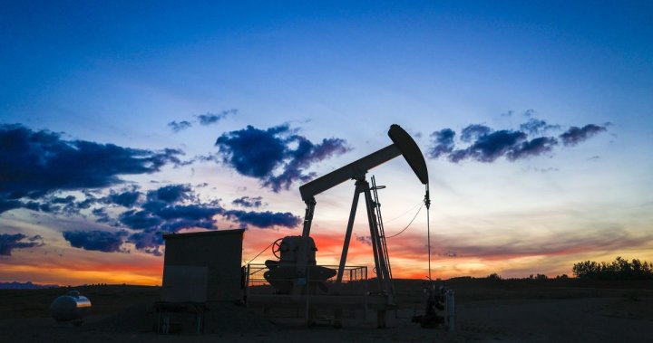 阿尔伯塔农村自治市表示，去年未支付4300万美元的石油和天然气行业税款