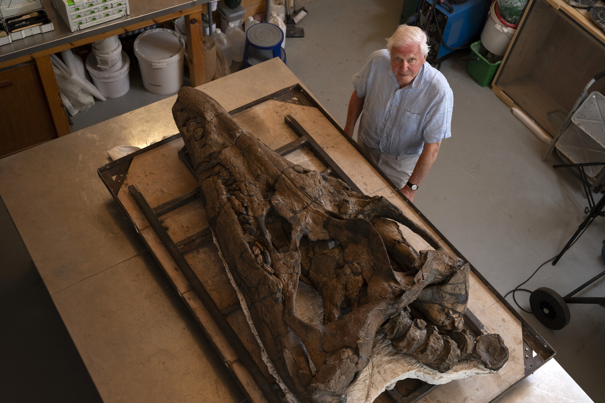David Attenborough on fossil hunting and unearthing find of a lifetime – National