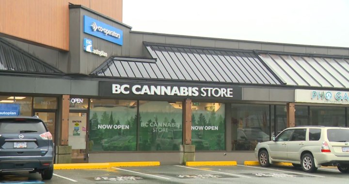 Частни бизнеси с канабис притеснени B.C. държавни магазини, работещи на загуба