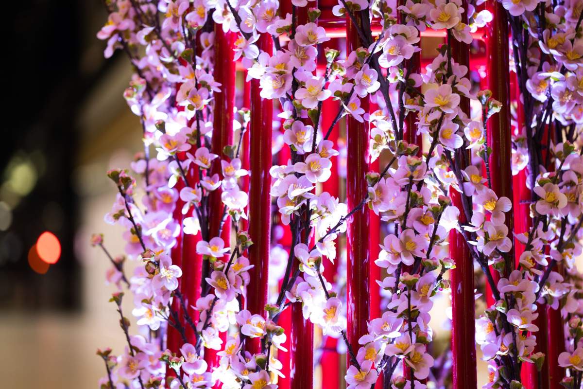 Lunar New Year Celebrations at Cadillac Fairview Shopping Centres in Metro Vancouver - image