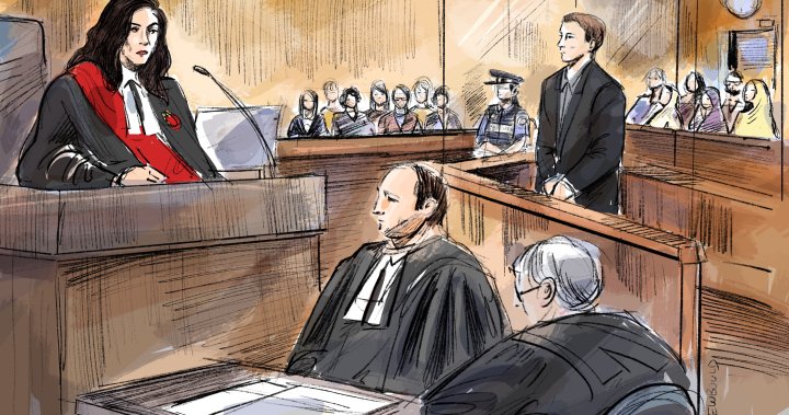 Condamnation de Veltman : les actions du tueur « constituent une activité terroriste », selon le juge