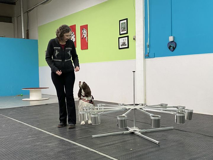 Този уикенд ще донесе някои големи награди за няколко жители