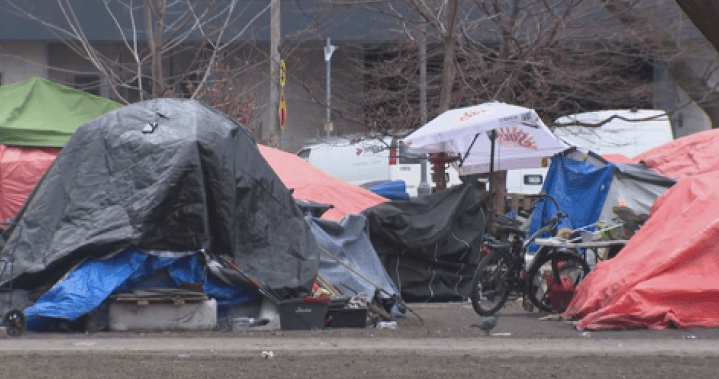 多伦多市中心居民就无家可归者露天营地写信给城市