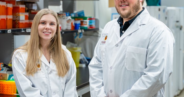Канадски изследователи откриха клетка, която може да помогне за разработването на лек за алергии
