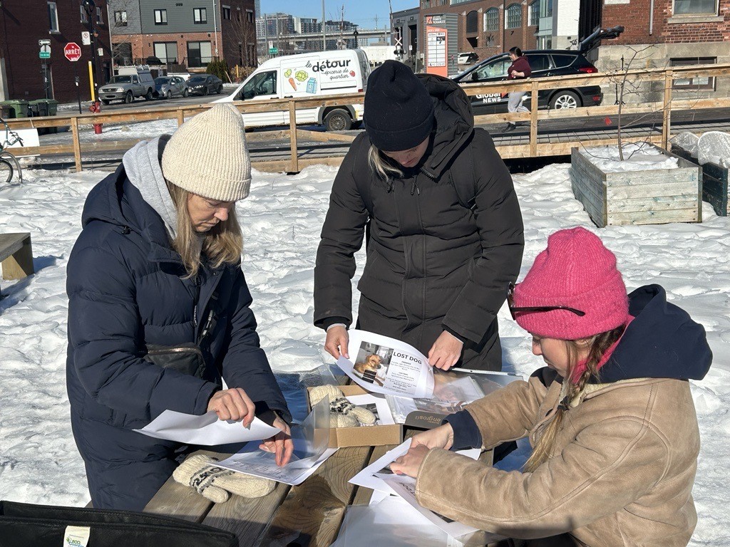 The O’Neill family searching for Frankie the rescue dog in Montreal on Feb. 6, 2024.