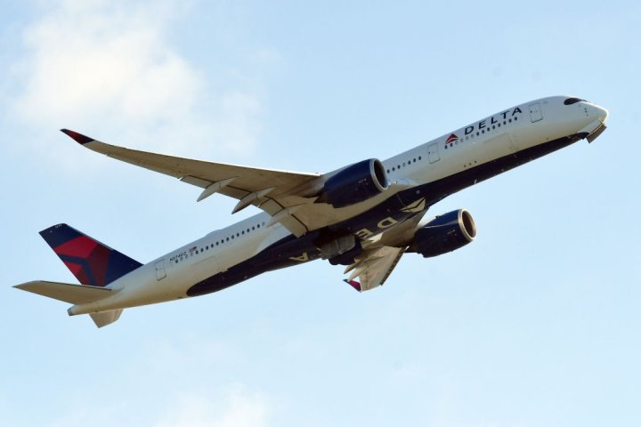 Delta flight forced to turn around after maggots rain down on passengers