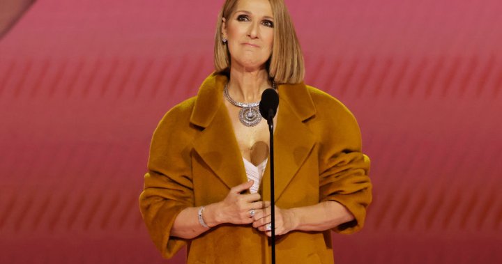 Селин Дион прави изненадваща поява на сцената на наградите Грами