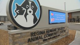 Continue reading: Regina Humane Society sends out urgent plea to adopt dogs