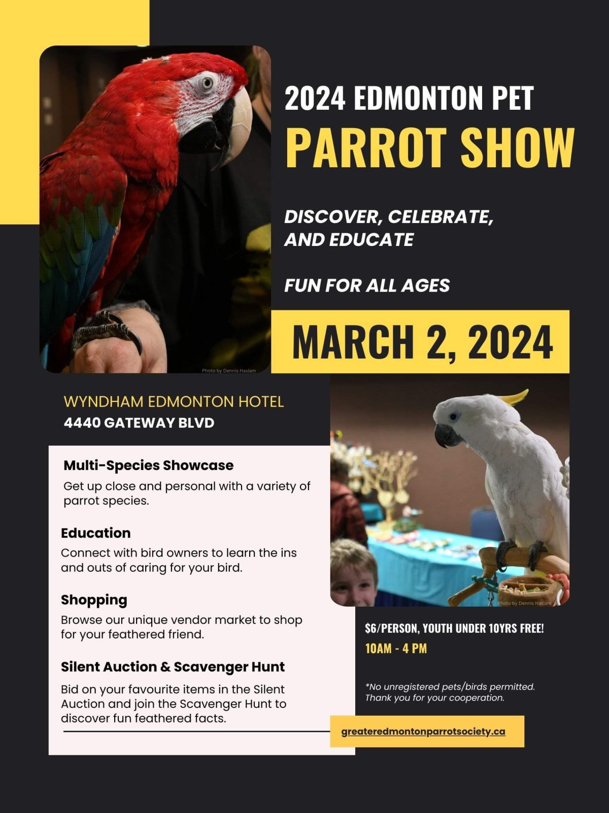 Edmonton Parrot Show - image