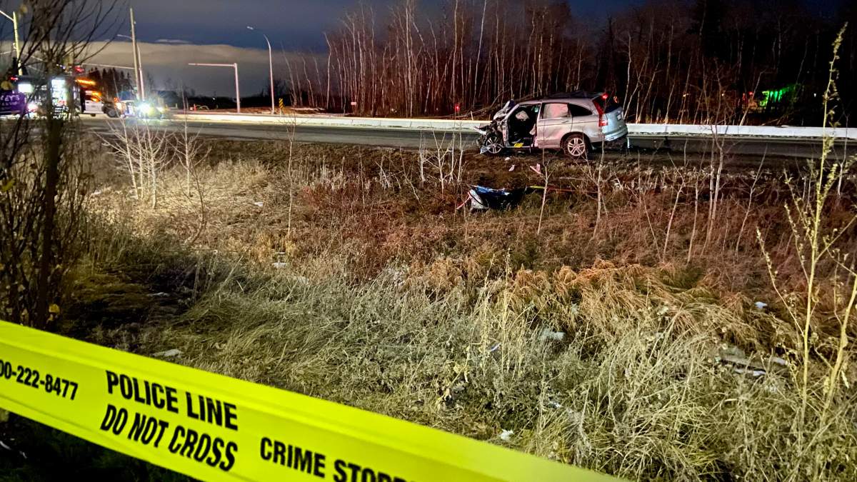 Edmonton hit and run