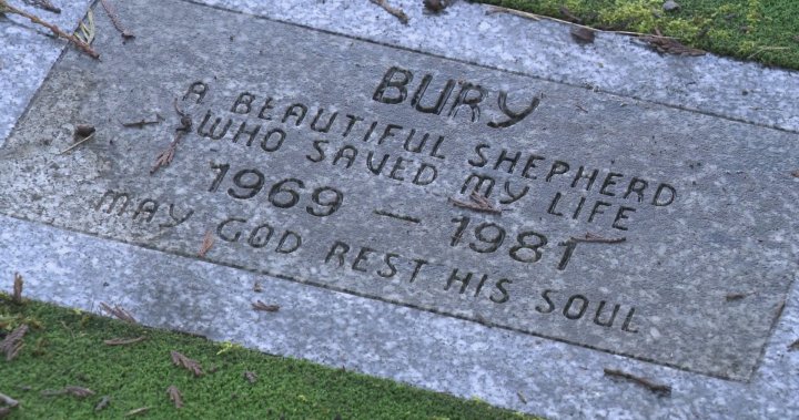 Mystery of Surrey’s pet cemetery deepens with some saying there are human remains