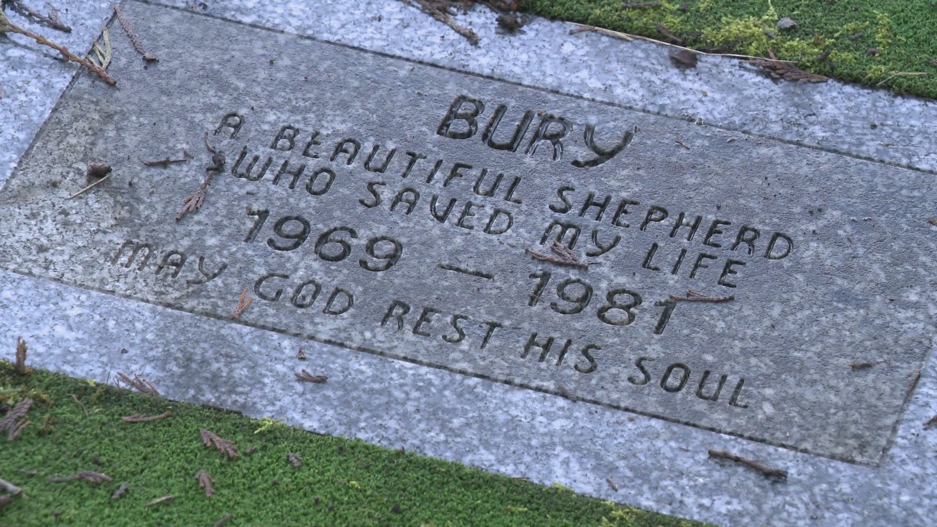 Mystery of Surrey’s pet cemetery deepens with some saying there are human remains