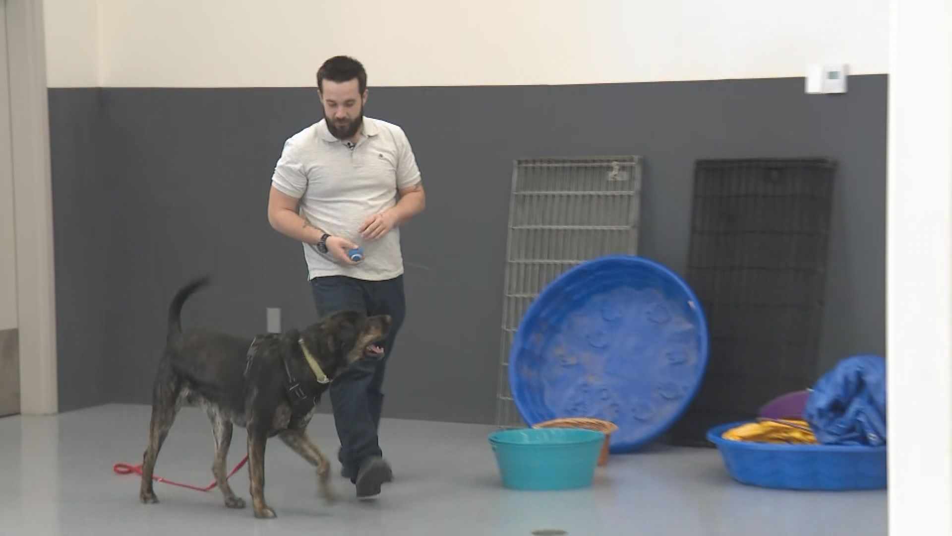 Calgary Humane Society предлага нова програма която се надява да