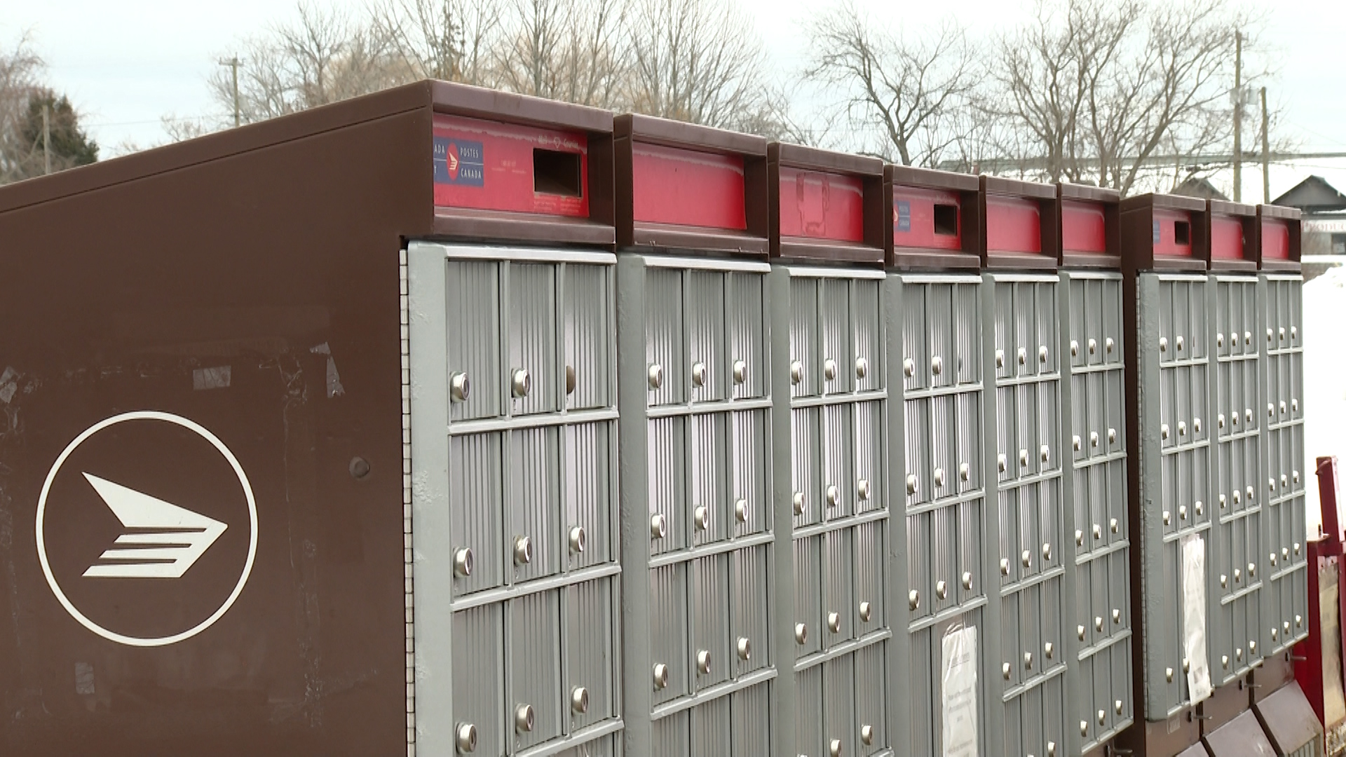Mail delivery issues causing frustration for Harrowsmith, Ont., residents