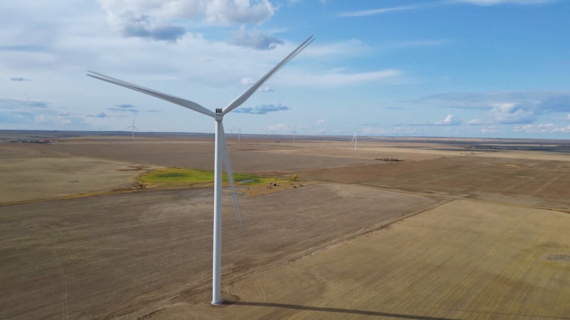 'Balanced approach': Reaction to Alberta's renewable development changes - Vimarsana News