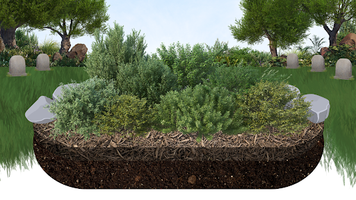 Rendering of what AWAKE wants their Living Cemetery to look like.