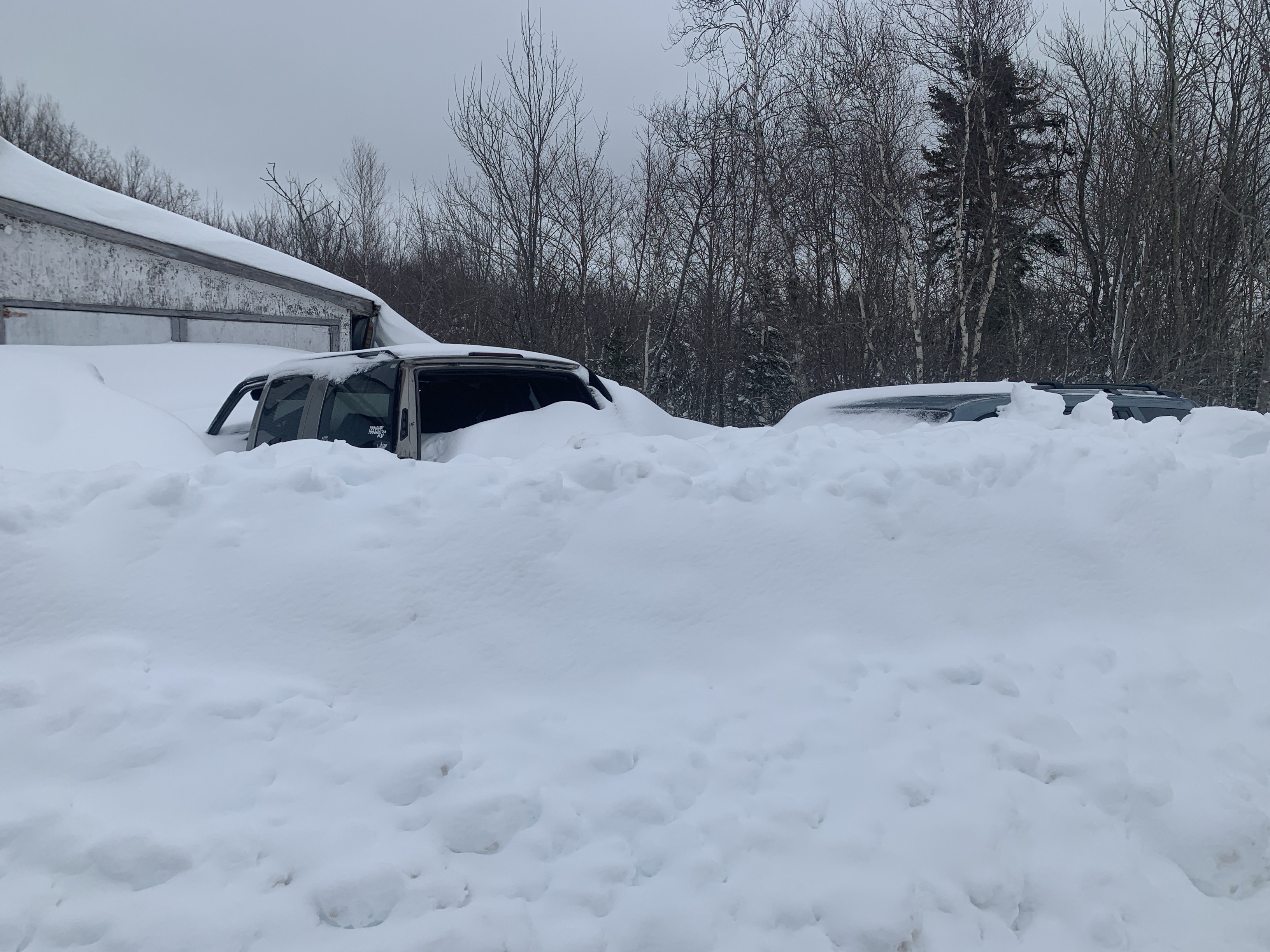Висш политик в селския окръг Пикту в Нова Скотия казва