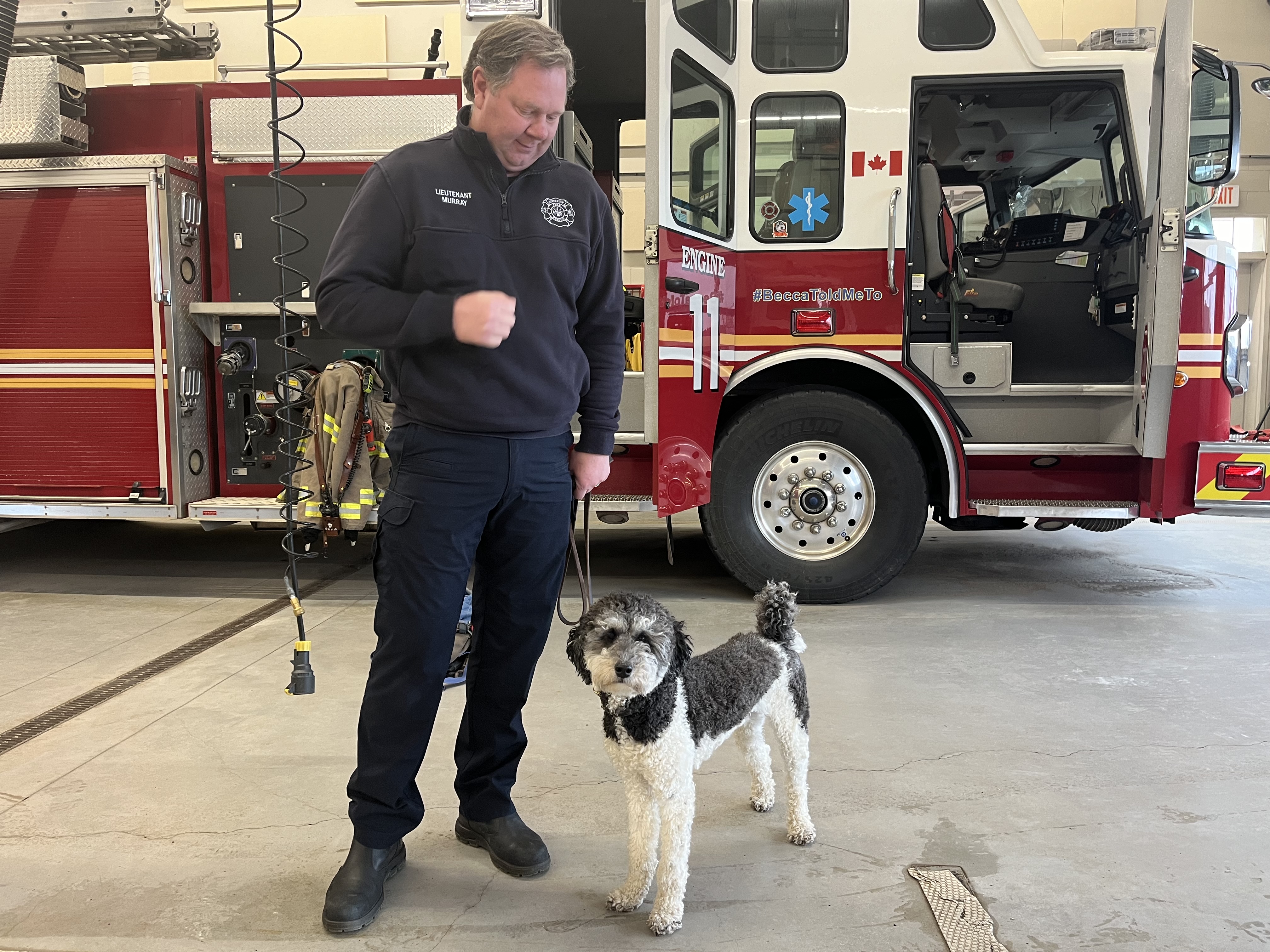 N.B. fire department’s ‘celebrity’ K9 handpicked for special training