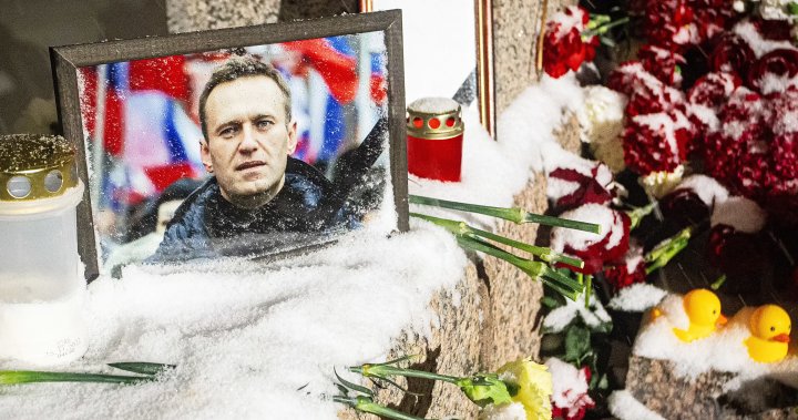 Руският опозиционен политик Алексей Навални е бил близо до освобождаване