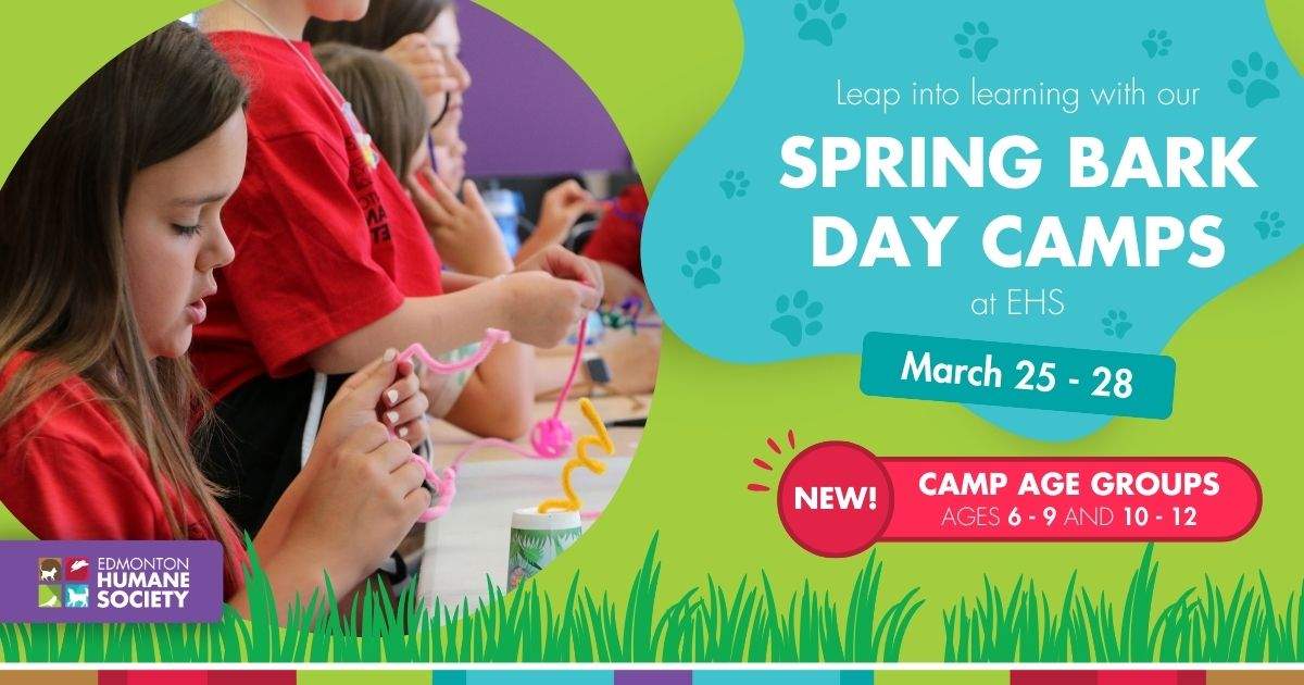Spring Break Camps at the Edmonton Humane Society! - image