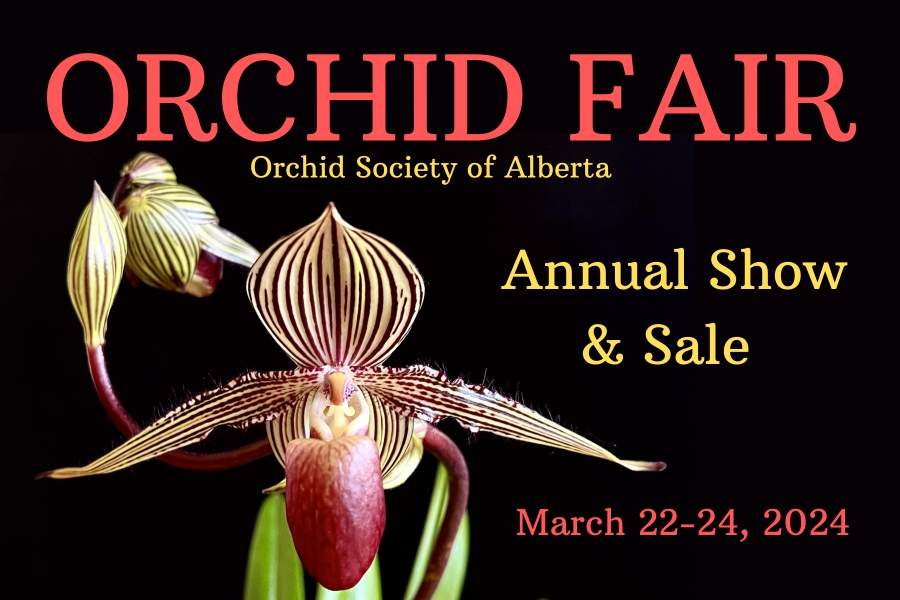 Orchid Fair Welcomes Spring! - image