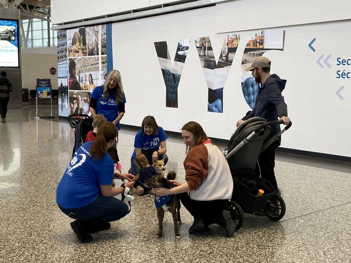 Това е голяма седмица за организация в Калгари която помага