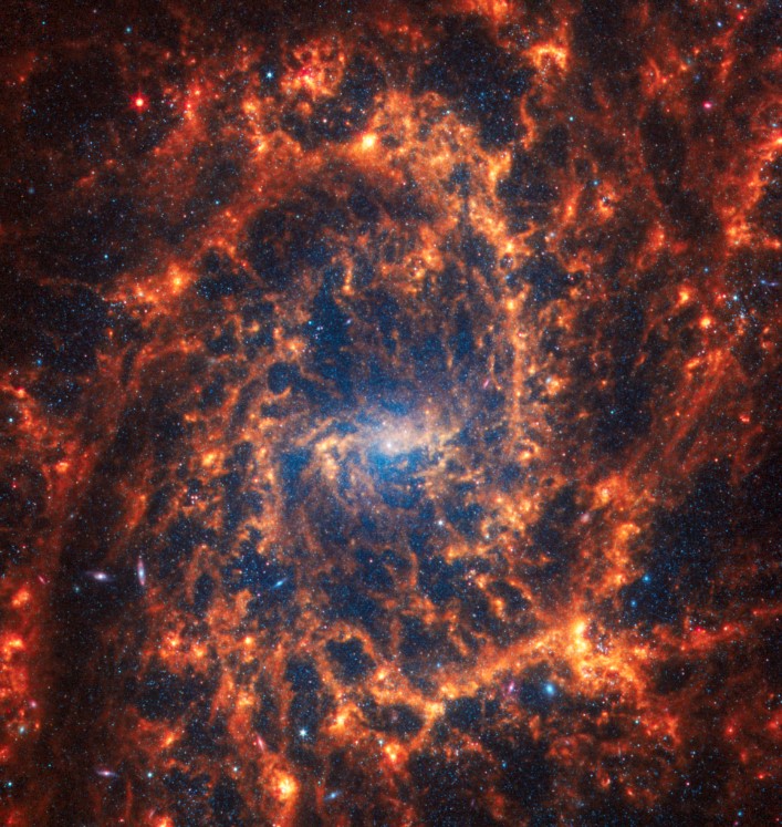 Spiral galaxy NGC 2835 is 35 million light-years away in the constellation Hydra.