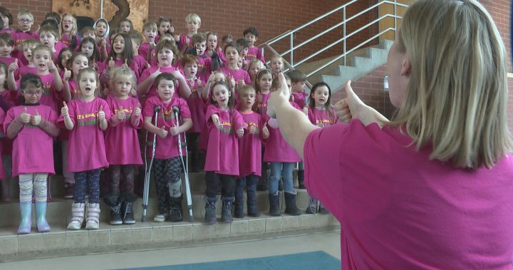 Ден на розовата фланелка: Учениците от детската градина в Оканаган казват, че е готино да си мил“