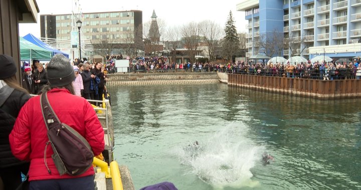 Кингстънската полиция е домакин на годишното Polar Plunge за Спешъл Олимпикс