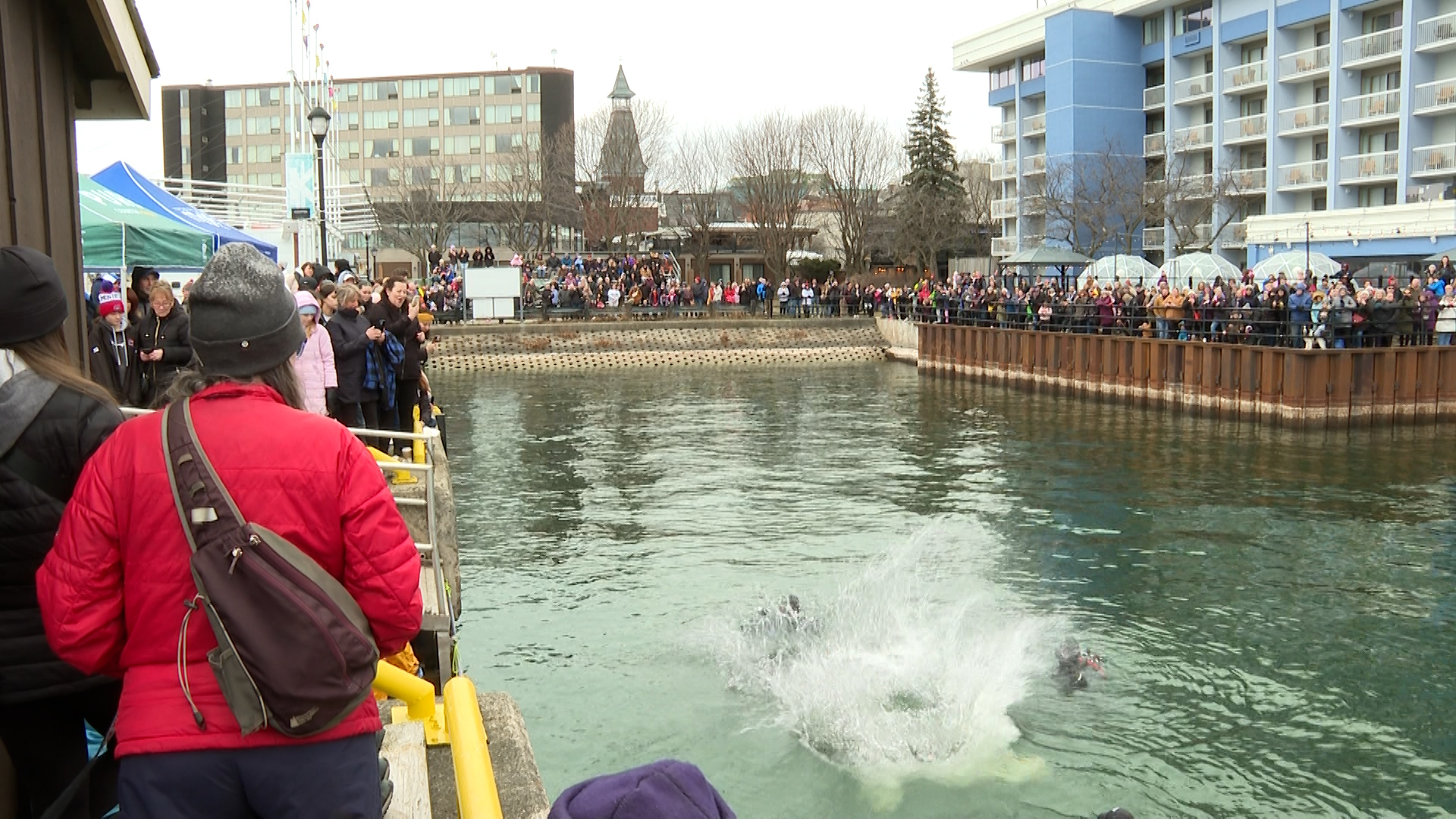Kingston Police host annual Polar Plunge for Special Olympics