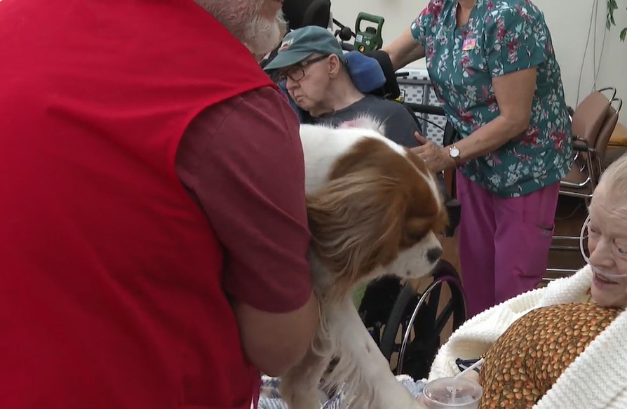 Ако всяко куче има своя ден тогава в Coaldale Health