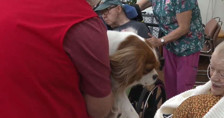 Puppy-Palooza носи радост на обитателите на Coaldale Health Center