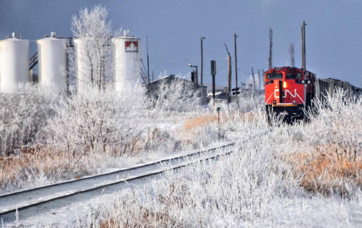 The Feb. 29 Your Saskatchewan photo of the day was taken by Debbie Kitchen in North Battleford.