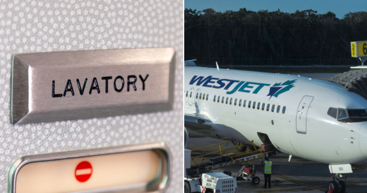 Пътник на WestJet казва че е била изгонена от полет