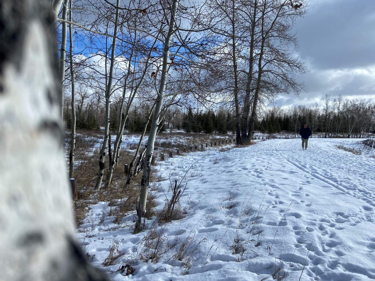 Alfred Roxas walking through Fish Creek Park.