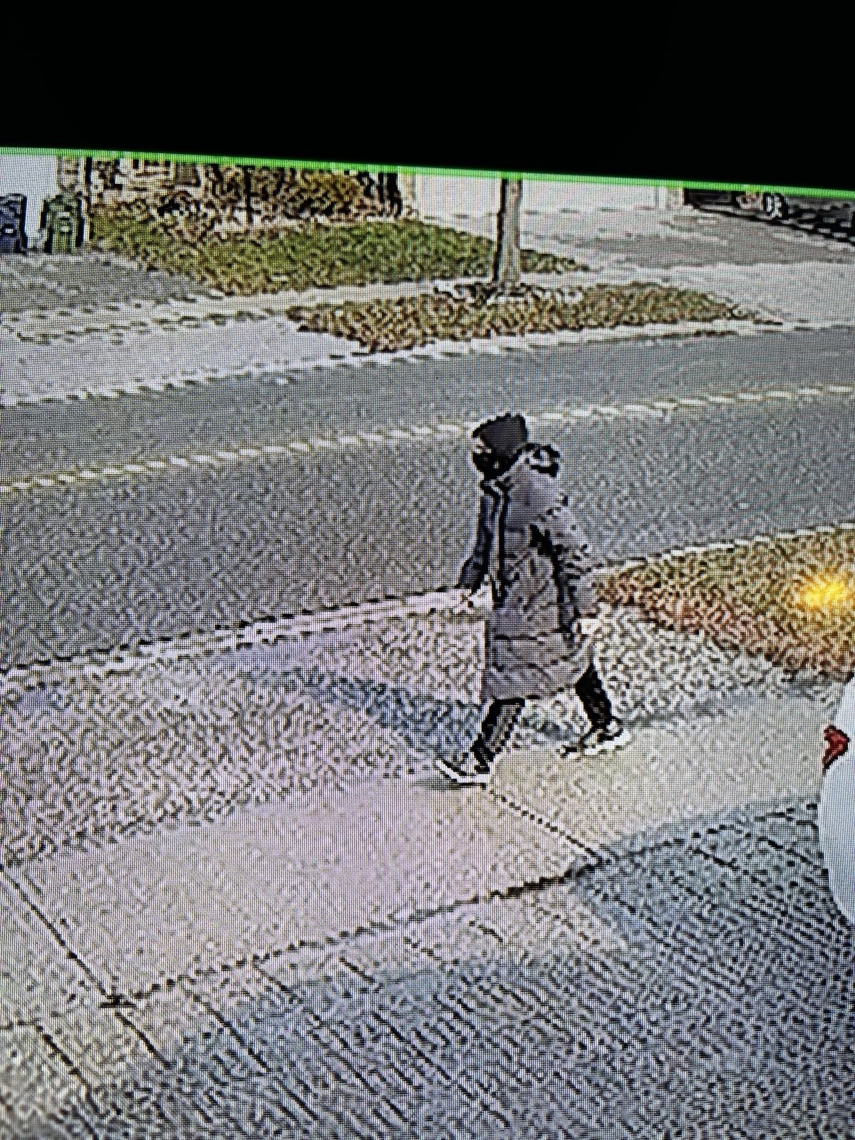 Полицията в Торонто издирва заподозрян след като 76 годишна жена е