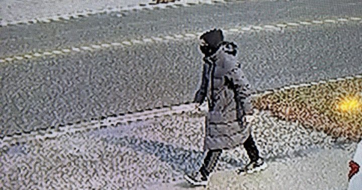 Полицията в Торонто разследва, след като заподозреният е прострелял жена в лицето с пистолет за сачми