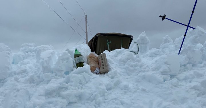 „Освободете ни“: N.S. жена остава в капан в дома си дни след снежна буря