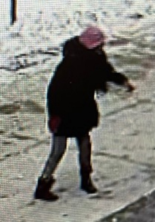 According to responding officers, the middle-aged woman believed to be involved in the incident assaulted one of the victims.